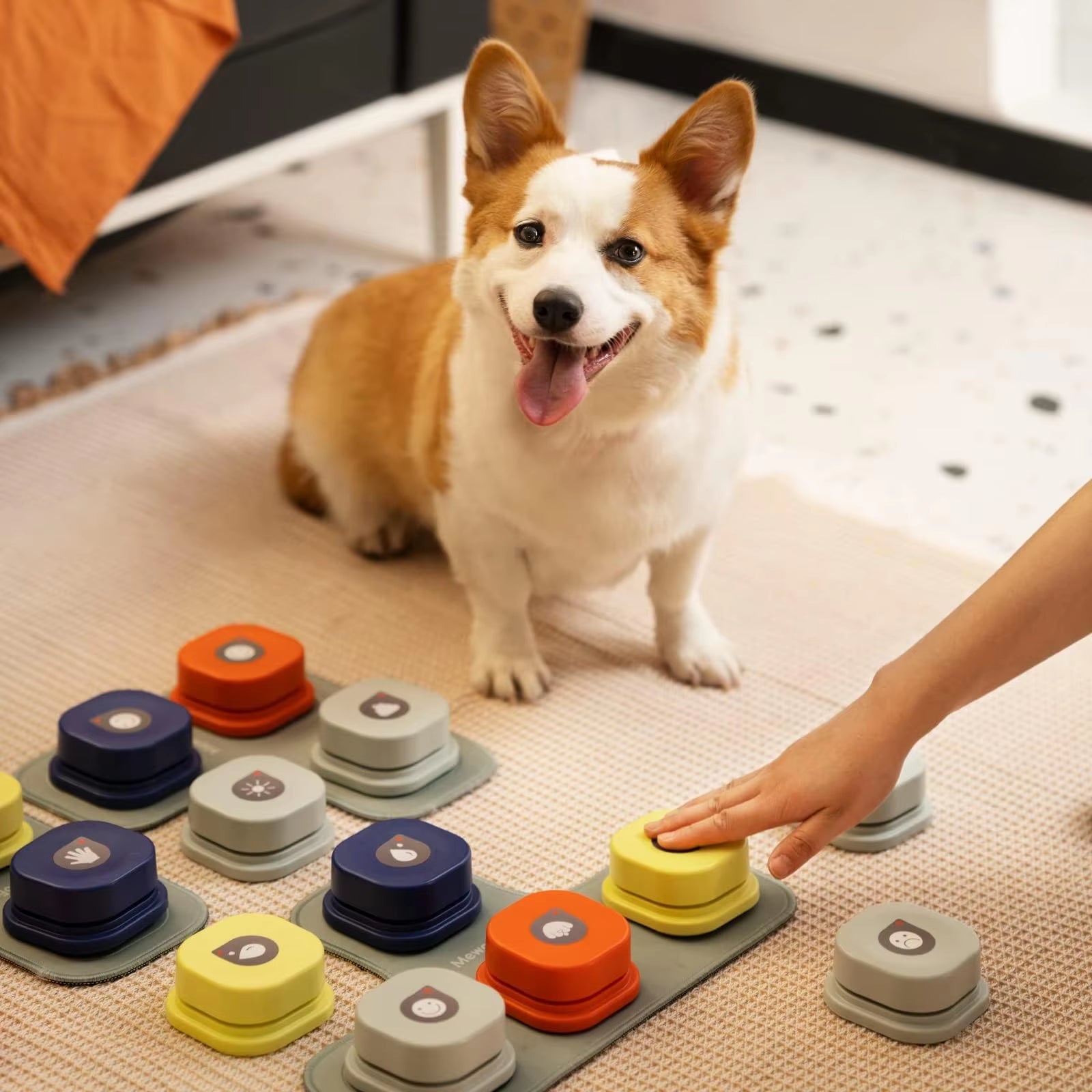 Dog Button Record Talking Pet Communication Vocal Training Interactive Toy Bell Ringer with Pad and Sticker Easy to Use