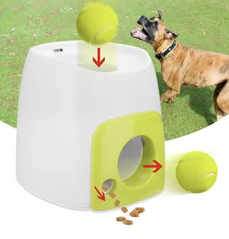 Fetch N Treat Dog Toy