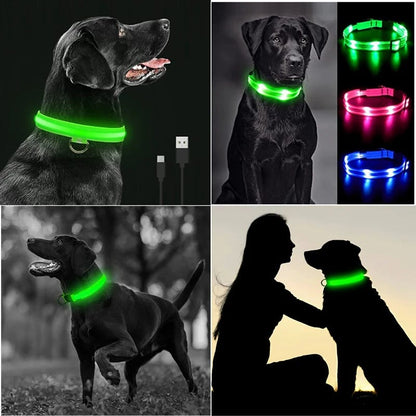 LED Glowing Dog Collar – Keep Your Pet Safe &amp; Visible at Night!