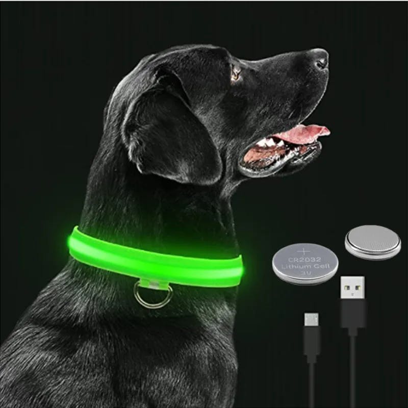 LED Glowing Dog Collar – Keep Your Pet Safe &amp; Visible at Night!